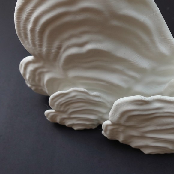 Gazzaladra Unique Wall shelf Interior Decor “Ostrea Fungus” for Party - Picture 5 of 6